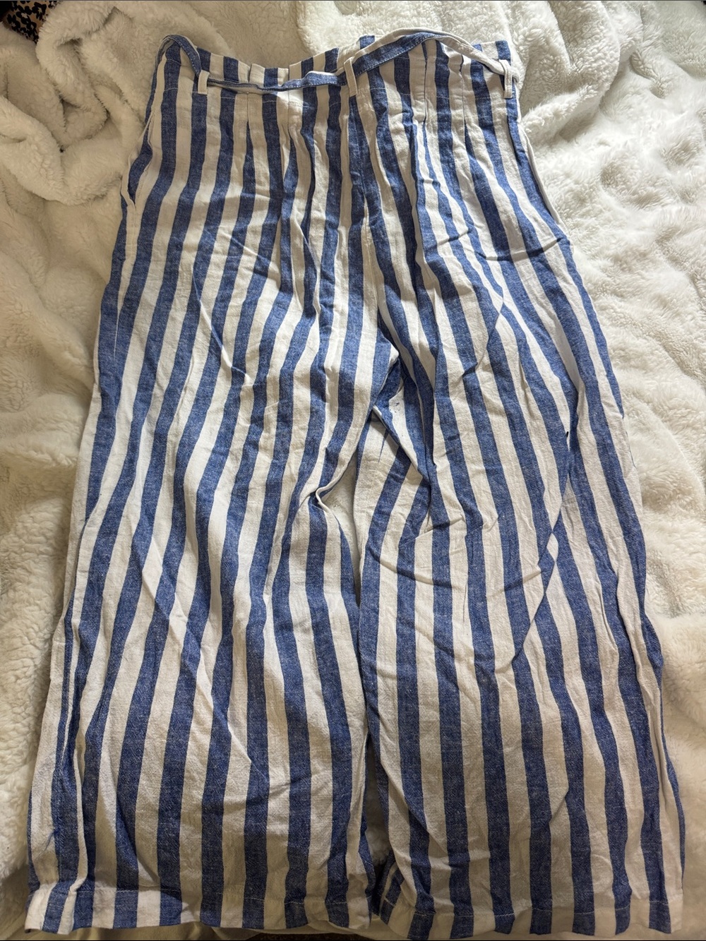 J. Crew Blue and White Vertical Stripe Chinos - Picture 3 of 4